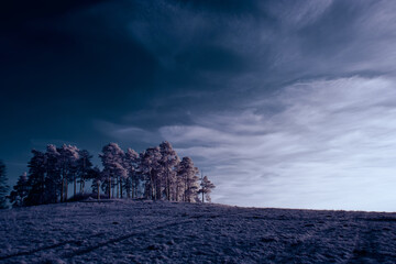 infrared photography - surreal ir photo of landscape with trees under cloudy sky - the art of our...