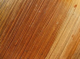 Dry palm leaf macro. Background of brown yellow palm leaf with ribbed texture. Nature slanted pattern of exotic plant part as design element. Diagonal texture of dried Areca palm leaf. Full frame.