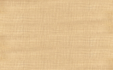 Fototapeta na wymiar Light bleached Eucalyptus wood veneer seamless