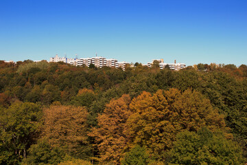 Herbstwald