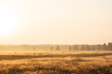 Obraz premium Sonnenaufgang 1