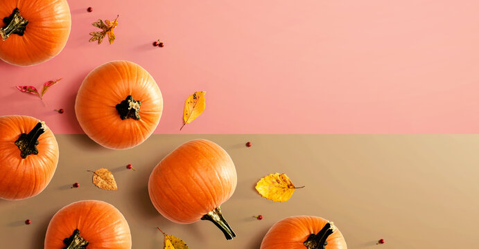 Autumn pumpkins with colorful leaves overhead view - flat lay