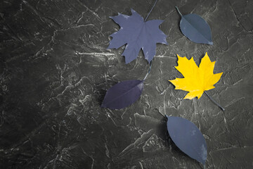 autumn leaves on concrete background