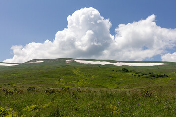 A park area along the bed of a mountain river, walks on a sunny summer day, places to communicate with nature.