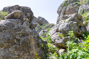A park area along the bed of a mountain river, walks on a sunny summer day, places to communicate with nature.