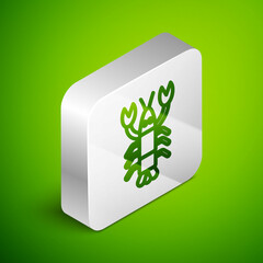 Isometric line Lobster icon isolated on green background. Silver square button. Vector.