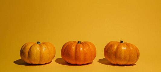 Fresh ripe pumpkin on orange background. Space for text mockup Halloween concept