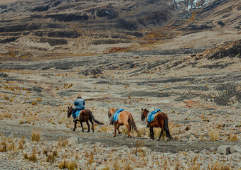 Servicio de transporte en caballo, en el nevado de Pastoruri, Ancash, Perú