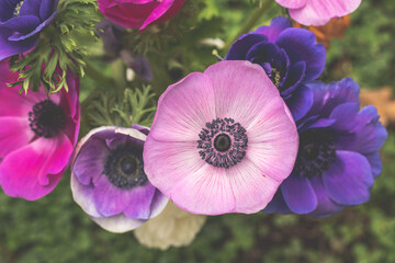 anemone spring bouquet