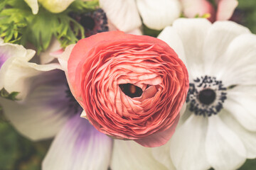 ranunculus and anemone bouquet