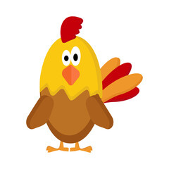 Chicken on a white background for use in clipart