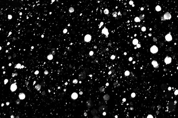 Real falling snow on a black background