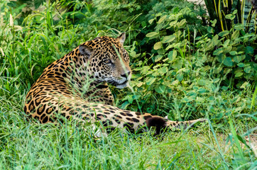 Animales en el Zoologico © Oscar