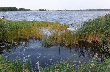 Bodden auf Dussvitz auf Ruegen