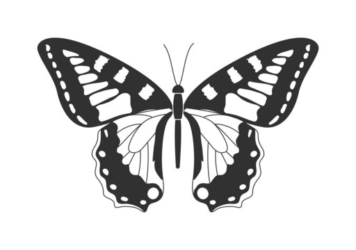 Dark butterfly with light spots on wings. Simple template with insect. Design for stickers, websites and applications. Cartoon contemporary flat vector illustration isolated on white background