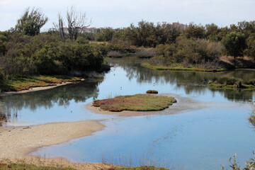 Lake on the Mouth of the river Guadalhorce, a natural site located in Málaga (Andalusia, Spain)