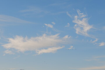 Clouds in the blue autumn sky, Russia