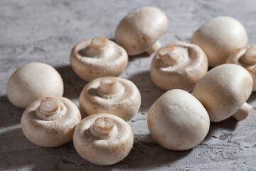 Fototapeta na wymiar Mushrooms on a gray concrete background, close-up