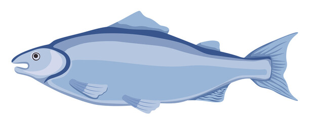 Mackerel Fish, Scomber Saltwater Creature, Fish Species. Fishing Club, Raw Seafood Restaurant or Fishery Market Emblem