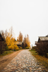 Obraz premium old russian village in autumn