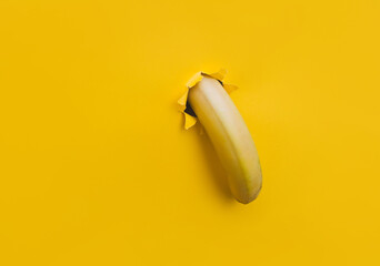 A large banana curved downward through a torn hole in yellow paper. Tropical fruit, vegetarianism. Bright background with copy space.The concept of impotence, erectile dysfunction, joke.Half past five - obrazy, fototapety, plakaty