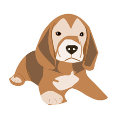 Dog isolated, flat design, puppy cartoon.
