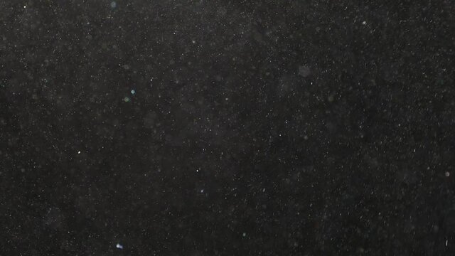 Dust in the air. Viruses and bacteria fly in space on a black background. Pollutes the air with small particles. Ecology and health. Snowflakes fall and fly.