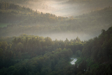 A police car drives along a lonely country road into the Black Forest © Markus Semmler