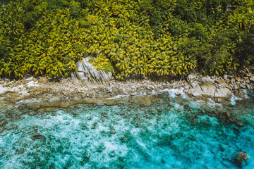 Aerial drone shot of palm grove and transparent blue water on Seychelles tropical beach, La Digue island