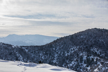 Autumn and winter colors in mountains and forest