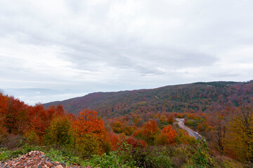 Autumn and winter colors in mountains and forest