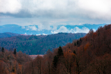 Autumn and winter colors in mountains and forest