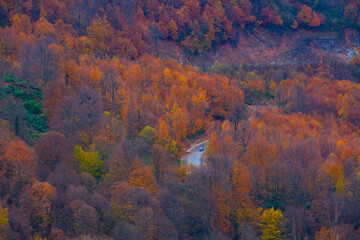 Autumn and winter colors in mountains and forest
