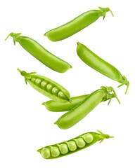Falling green Pea pod, isolated on white background, clipping path, full depth of field