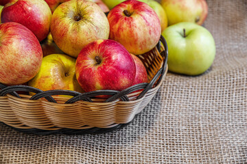 ripe juicy red and green apples grown in a personal garden in a basket on burlap cloth close up