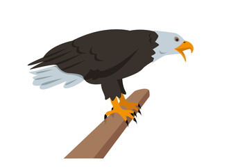 Bald Eagle sitting on branch. Bird icon isolated on white background. North American eagle for Nature, bird watching and ornithology design. Vector cartoon or flat illustration.
