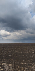 stormy landscape: a field with the remains of dry grass and storm clouds