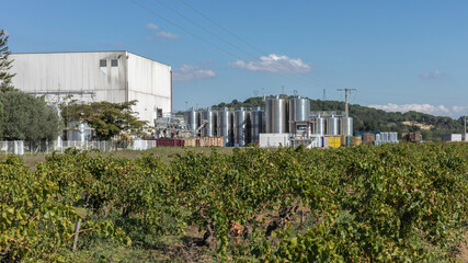 Looking across vineyards at fermentaion tanks Southern Rhone