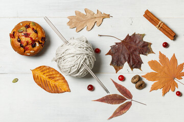 Dry bright autumn leaves, pumpkin muffin with cranberries and seeds and a ball of yarn with knitting needles. Top view on a gray light background, close-up