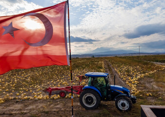 Turkish flag and blue tractor working in the field. Turkish farmer concept