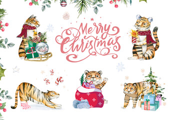 Merry Christmas watercolor lettering with isolated cute cartoon watercolor fun set tiger illustration. Hand drawing watercolor new year holiday greeting poster.