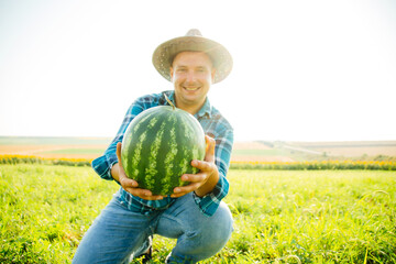 the portrait of a smiling farmer holds a watermelon in his hand. the man looking at the camera is...