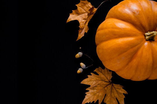 An orange pumpkin with leaves and acorns lies on a black background. High quality photo
