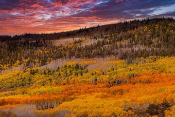 Stormy sunset foliage over mountain