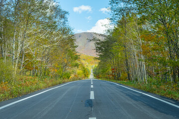 紅葉と直線道路