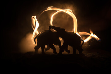 Battle of Elephants. Elephant fighing silhouettes on fire background or Two elephant bulls interact and communicate while play fighting. Elephants touching each other gently