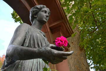 Fototapete bei efototapeten.de bestellen   