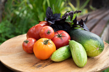 Autumn harvest on a wooden plate. Zucchini, tomatoes, cucumbers and basil leaves