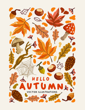 A collection of Autumn natural elements. Fall background design vector illustration.