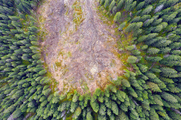 Deforestation under the Syvulya mountain in the Carpathians.